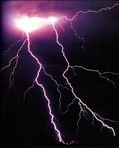 lightlg.jpg (28052 bytes)
